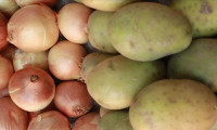 TMO'nun patates ve soğan alımında sınırlama yok