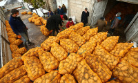 Depodaki patatesini TMO'ya satan Nevşehirli çiftçiler mutlu 