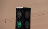 Çin'de develere özel trafik lambası