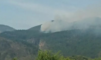 Bodrum'da orman yangını