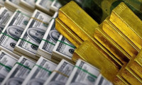Rusya'nın altın ve döviz rezervleri 7,0 milyar dolar arttı