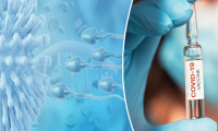 BioNTech - Pfizer aşısı spermlere zarar veriyor mu?