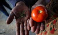İsrail'den Gazzeli çiftçi ve tüccarlara yeni şart
