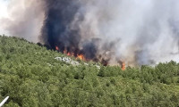 Antalya'nın Kaş ilçesinde orman yangını