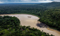 Brezilya Amazonlar'a asker gönderecek