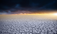 İklim kriziyle mücadelede 6 sıra dışı ve etkili yöntem