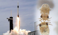 SpaceX ve NASA'nın mürekkep balıkları taşıyan roketi fırlatıldı!