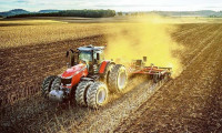 Tarım-ÜFE yıllık bazda yüzde 21,7 arttı