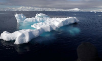 Antarktika'da rekor sıcaklık kaydedildi