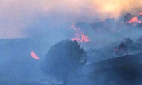 Avşa Adası'nda yangın: Havadan ve karadan müdahale sürüyor