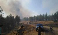 Kilis'te orman yangını