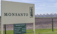 Monsanto, öğretmenlere 185 milyon dolar tazminat ödeyecek