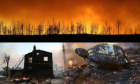 Dünya, Türkiye'yi bu fotoğraflarla gördü: Olağandışı yangınlar!