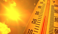 Aşırı sıcaklıklar nedeniyle ABD'de 200 kişi hayatını kaybetti