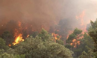 Cezayir'de 31 ayrı noktada çıkan yangınlarında 4 kişi öldü