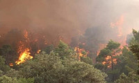 Cezayir'deki orman yangınlarıyla ilgili 22 kişi gözaltına alındı