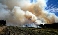 ABD’nin California eyaletinde orman yangınları devam ediyor