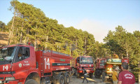 Marmaris ile Köyceğiz'deki orman yangınlarına havadan müdahale yeniden başladı