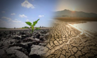 Toprak ve su birlikte ölüyor! Gıda üretimi tehlikede...