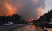 Milas'ta korkulan oldu: Alevler termik santrale sıçradı