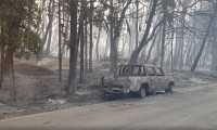 Malatya'da, ormanlık alanda çıkan yangın söndürüldü