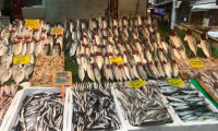 Halde ve tezgahlarda balık fiyatları