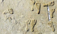 ABD'de 23 bin yıllık insan ayak izleri keşfedildi
