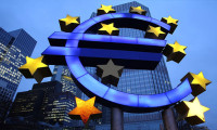 Euronun kader yılı