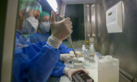Almanya'da PCR testi yapan laboratuvarlarda kapasite sınırına yaklaşıldı