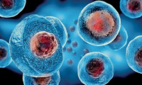 Japonya’da dünyanın ilk omurilik kök hücre nakli gerçekleştirildi