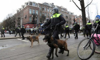 Hollanda polisinden 'köpekli' müdahale