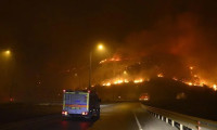 Orman yangınlarında binlerce hektar alan zarar gördü