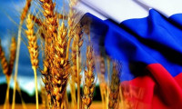 Rusya'da tahıl hasadında rekor bekleniyor