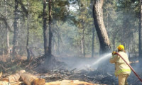 Düziçi'ndeki orman yangını kontrol altına alındı