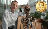 2022 Nobel Tıp Ödülü'nün kazananı belli oldu!