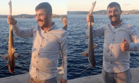 Beykoz sahilinde oltayla köpek balığı yakaladı