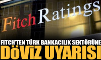 Fitch’ten Türk bankacılık sektörüne döviz uyarısı