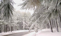 Kazdağları'nda mevsimin ilk kar yağışı başladı