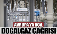 Uluslararası Enerji Ajansı'ndan Avrupa'ya acil doğalgaz çağrısı