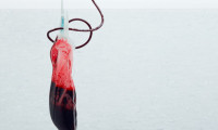Laboratuvarda geliştirilen kan, ilk kez bir insana nakledildi