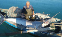 Adana'da balıkçılar, dev Blue Marlin yakaladı