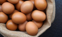 Yumurta, KDV indirimine rağmen yüzde 17,5 zamlandı