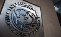 IMF'den ECB'ye destek