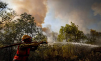 Manavgat'ta orman yangını çıkaran sanığa hapis cezası