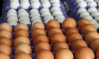 Yumurta fiyatlarını marketler yükseltti