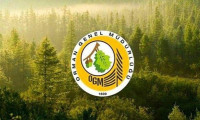 Orman Genel Müdürlüğü 1833 personel alacak
