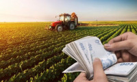 Tarımsal destek ödemeleri bugün hesaplara yatırılıyor