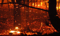 İki ilçedeki orman yangını devam ediyor