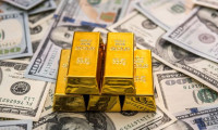 Rusya'nın altın ve döviz rezervlerinde 4 milyar dolarlık düşüş