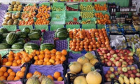 Türkiye'nin yaş meyve sebze ihracatı arttı